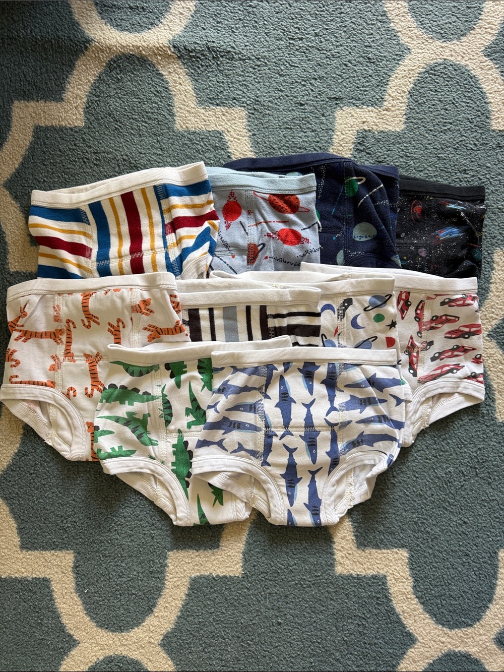 Hanna Andersson Boys Training Briefs Bundle